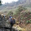 salpa-bhanjyang-trek